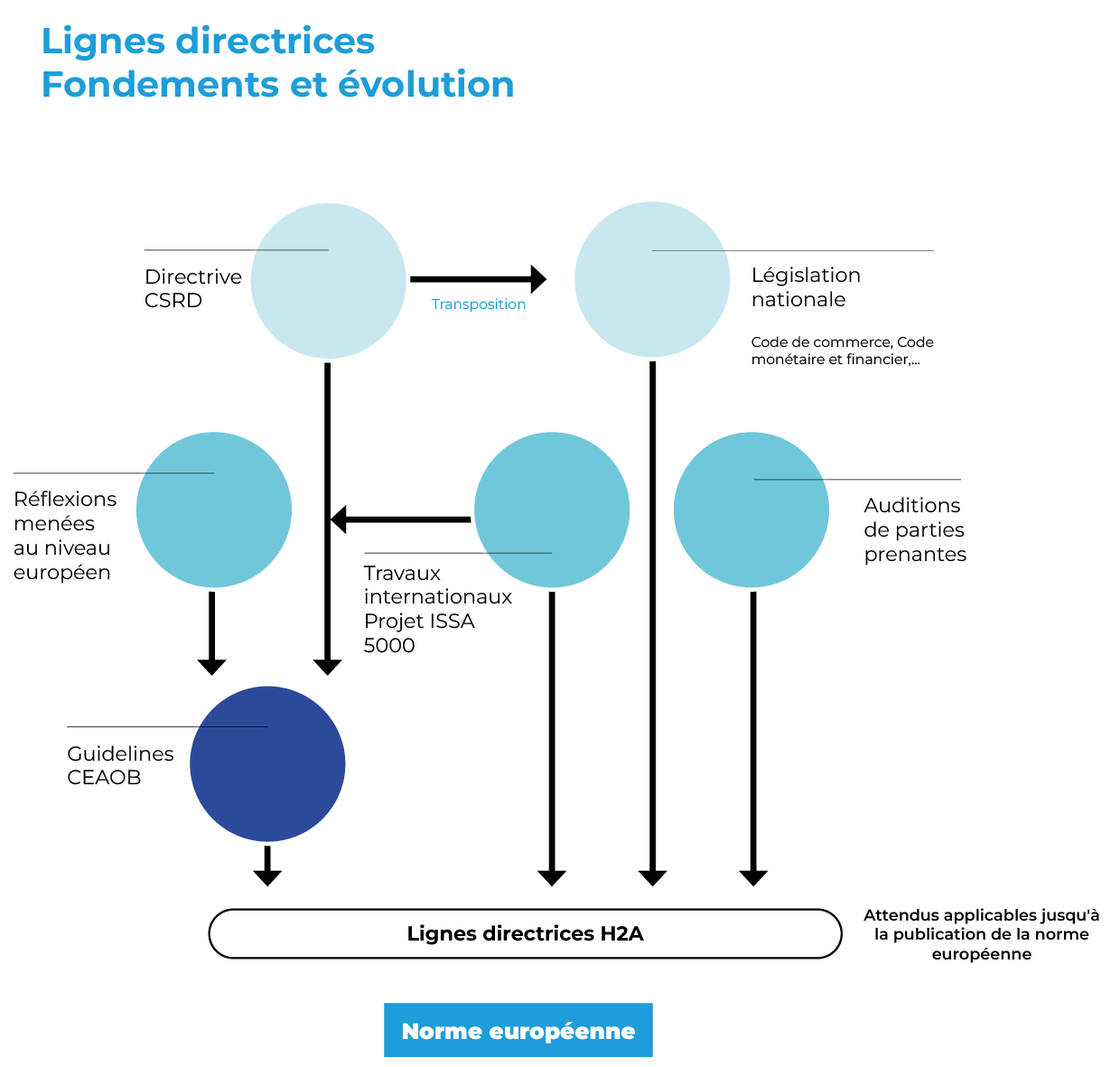 Lignes Directrices de la H2A Lignes Directrices de la H2A dans la communication d'informations de durabilité